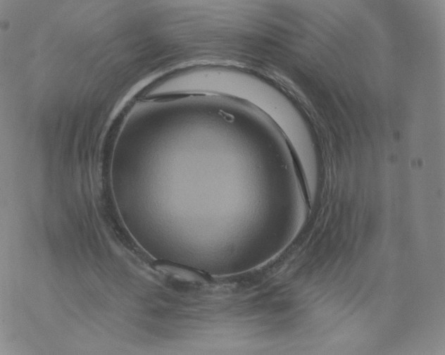 X0000074280484200609151856