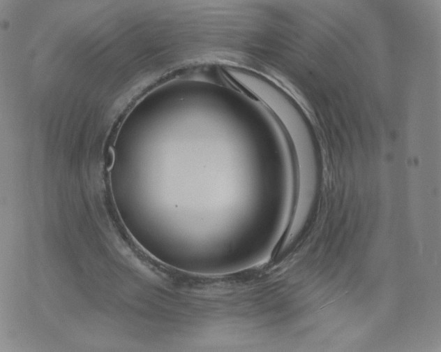 X0000074280485200609151855