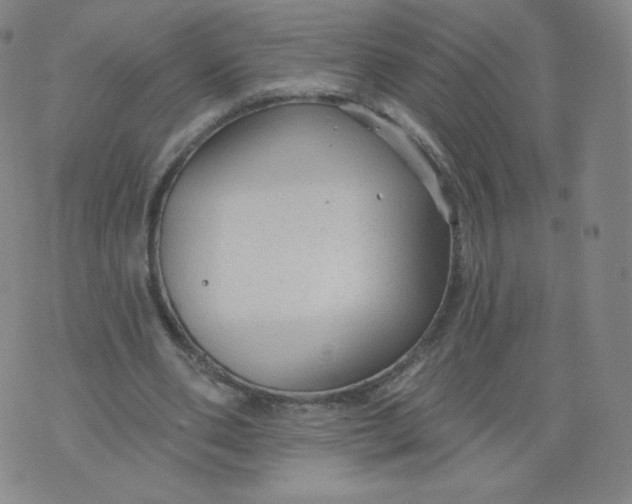 X0000074280486200609151855