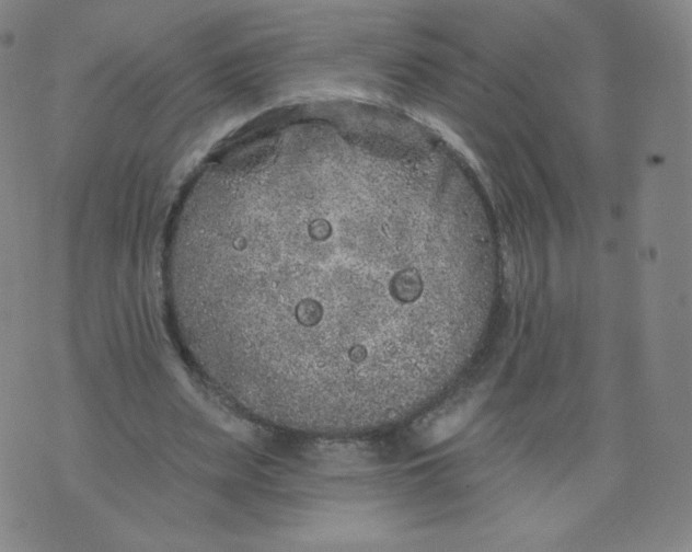 X0000074280487200609151855