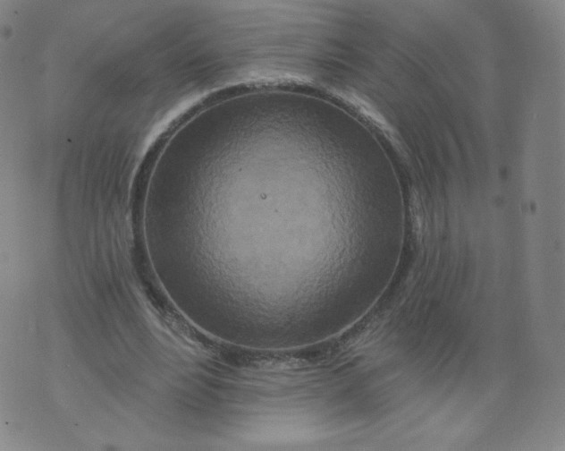 X0000074280488200609151855