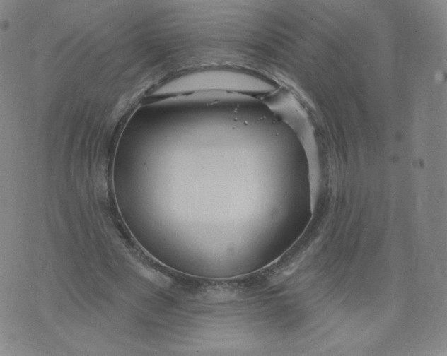 X0000074280489200609151855