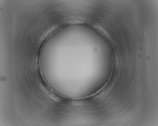 X0000074280490200609151855