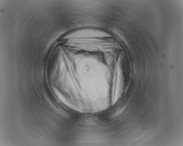 X0000074280491200609151855