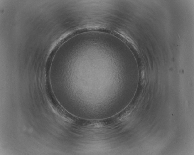 X0000074280492200609151855