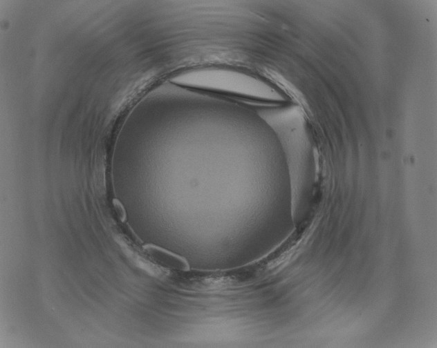 X0000074280493200609151855