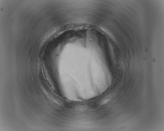 X0000074280494200609151855