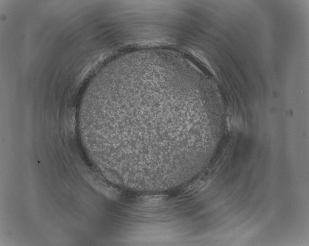 X0000074280495200609151855