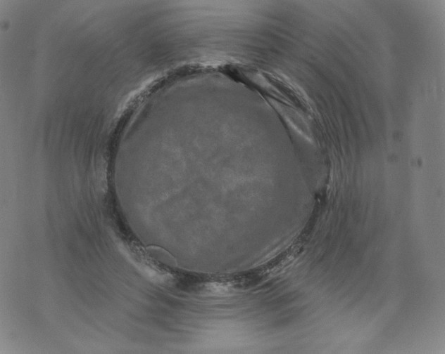 X0000074280496200609151855