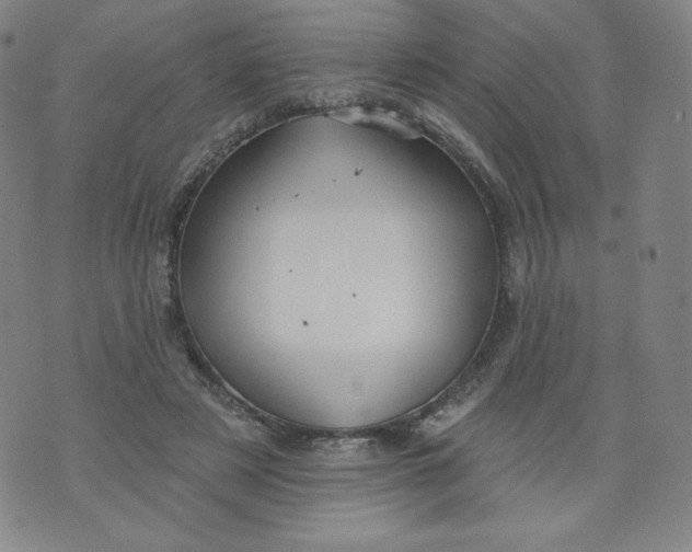 X0000074280497200609151855