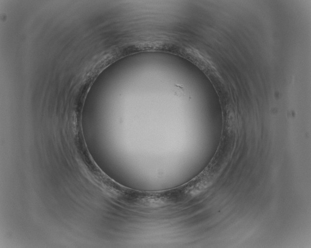 X0000074280498200609151855