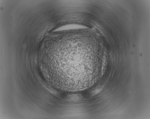 X0000074280499200609151855