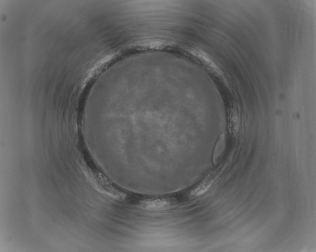 X0000074280500200609151855