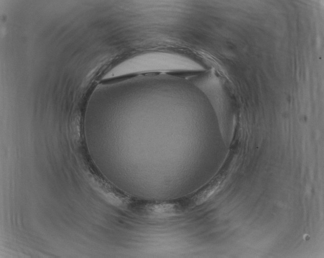 X0000074280501200609151855