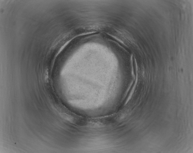 X0000074280502200609151855