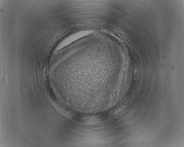 X0000074280503200609151855