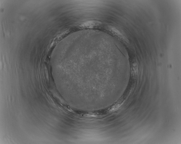 X0000074280504200609151855