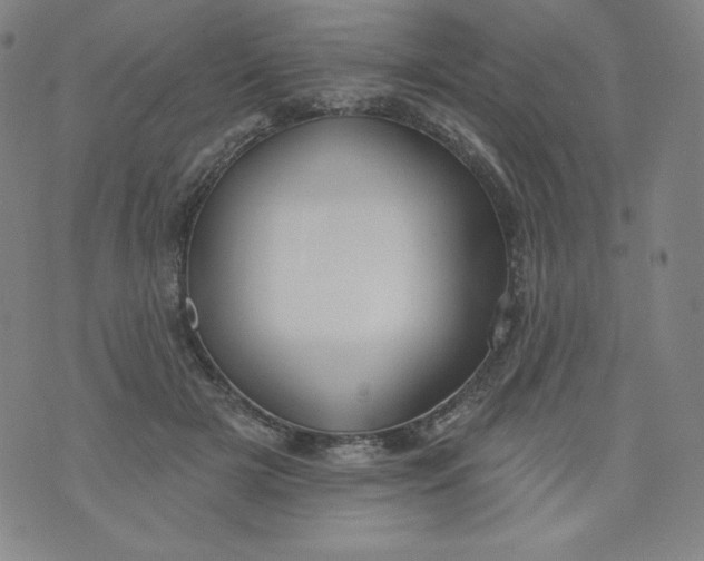 X0000074280505200609151855