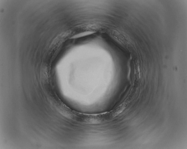 X0000074280506200609151855