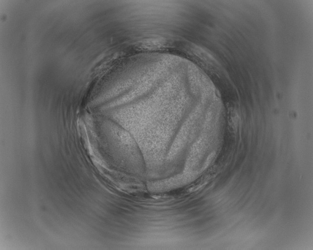 X0000074280507200609151855