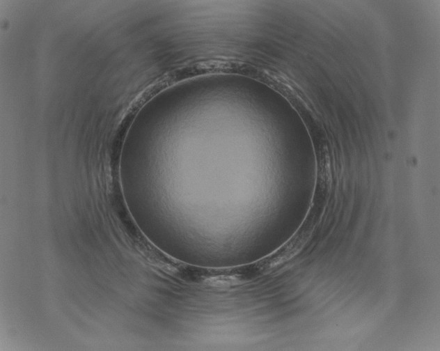 X0000074280508200609151855