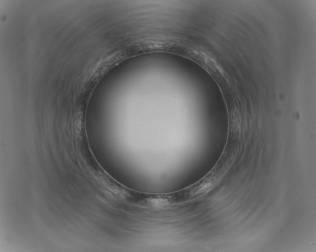 X0000074280509200609151855