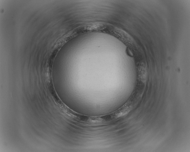 X0000074280510200609151855