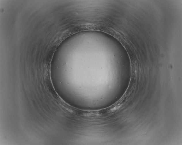 X0000074280511200609151855