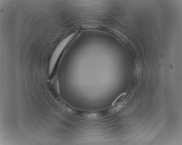 X0000074280513200609151855