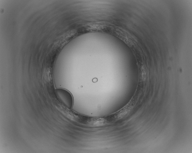 X0000074280514200609151855