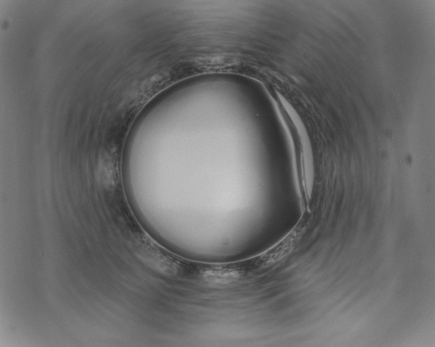 X0000074280515200609151855