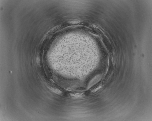 X0000074280516200609151855