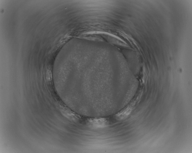 X0000074280517200609151855