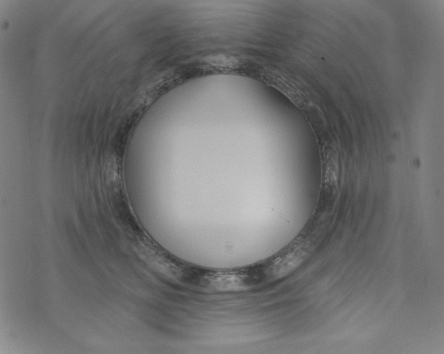 X0000074280518200609151855