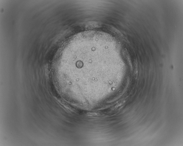 X0000074280519200609151855