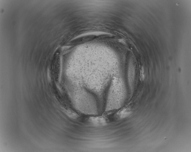 X0000074280520200609151855