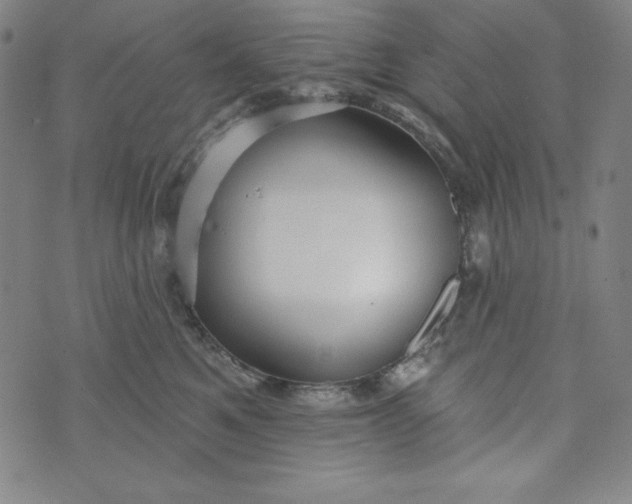 X0000074280521200609151855