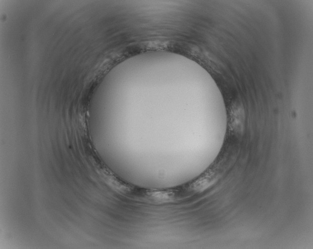 X0000074280522200609151855