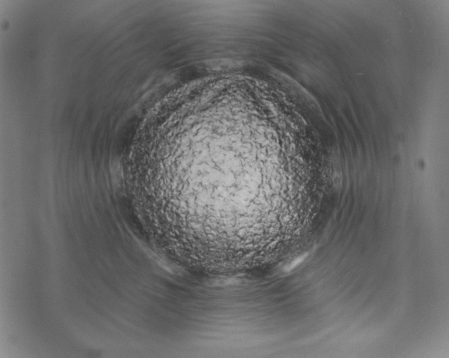 X0000074280523200609151855