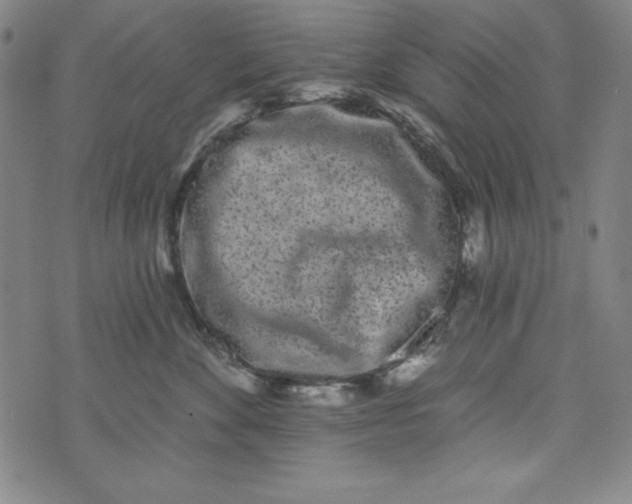 X0000074280524200609151855