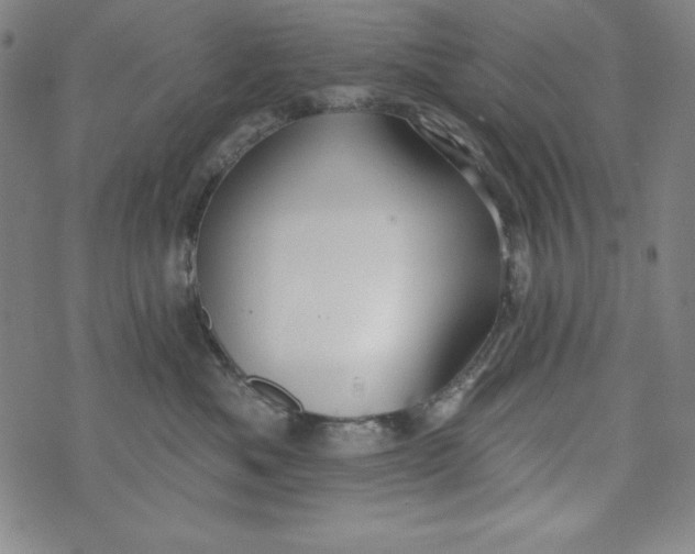 X0000074280525200609151855