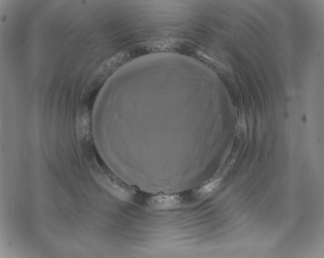 X0000074280526200609151855