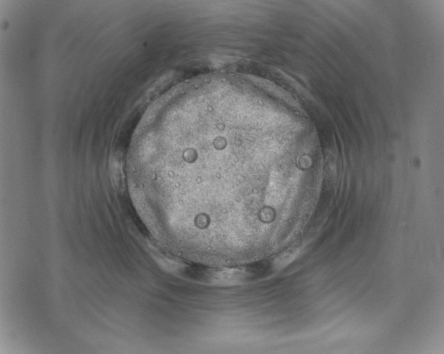 X0000074280527200609151855