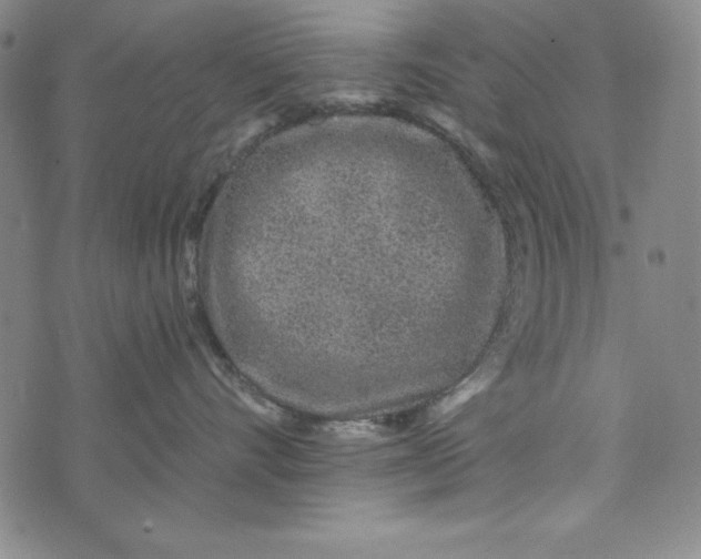 X0000074280528200609151855