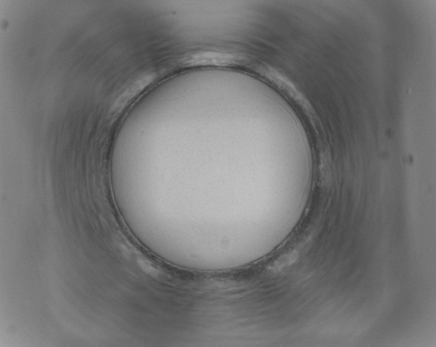 X0000074280529200609151854