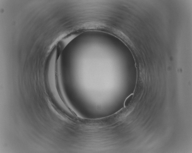 X0000074280530200609151854