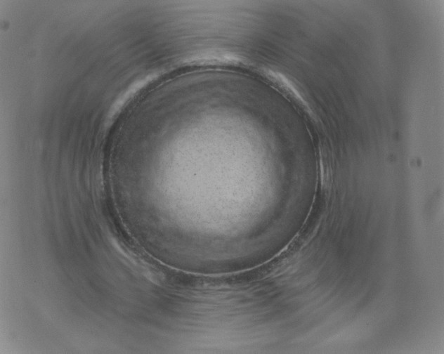 X0000074280531200609151854