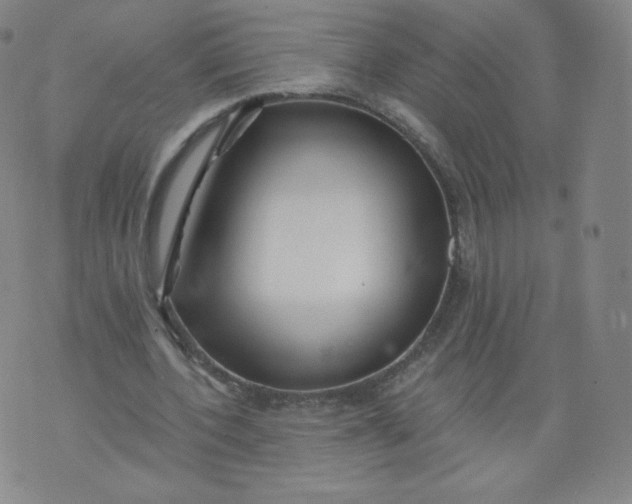 X0000074280532200609151854