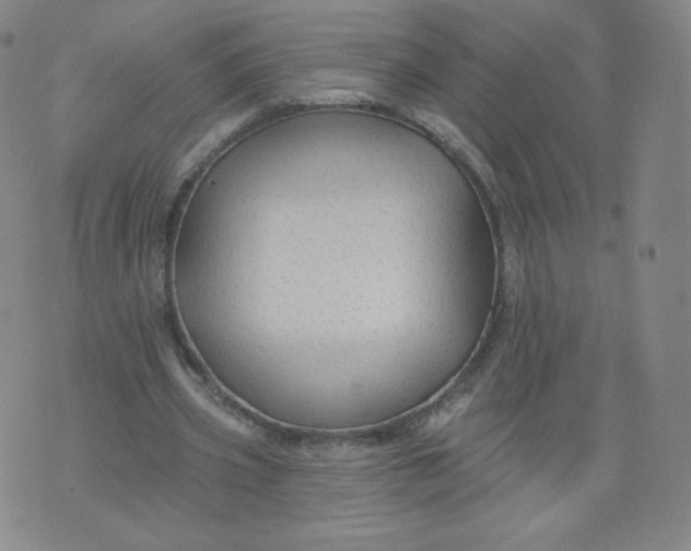 X0000074280533200609151854