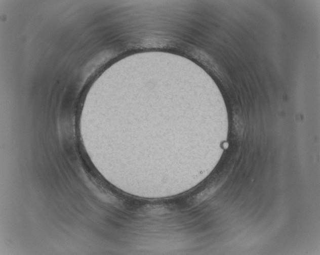 X0000074280534200609151854